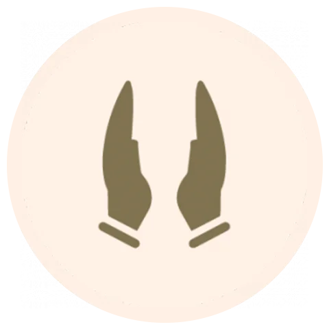 Rolling-Cuckoo-Massage-techniques